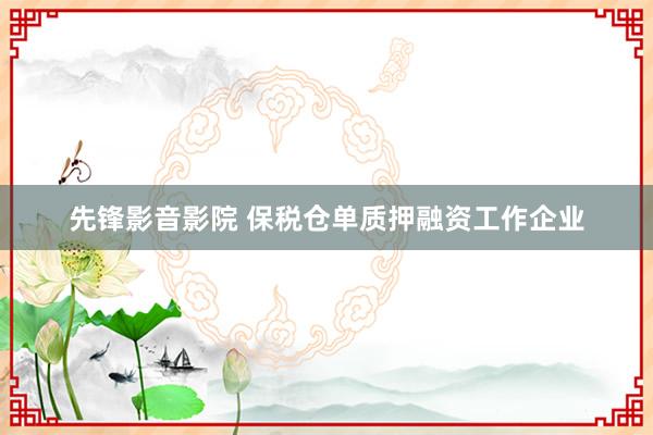先锋影音影院 保税仓单质押融资工作企业