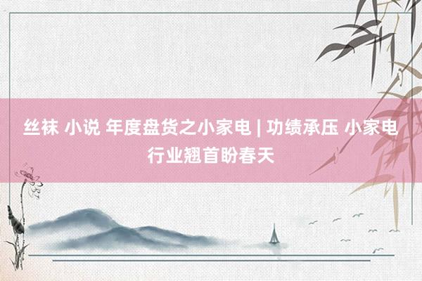 丝袜 小说 年度盘货之小家电 | 功绩承压 小家电行业翘首盼春天