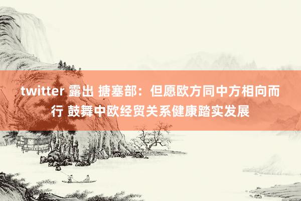 twitter 露出 搪塞部：但愿欧方同中方相向而行 鼓舞中欧经贸关系健康踏实发展