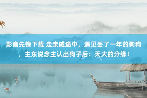 影音先锋下载 走亲戚途中，遇见丢了一年的狗狗，主东说念主认出狗子后：天大的分缘！