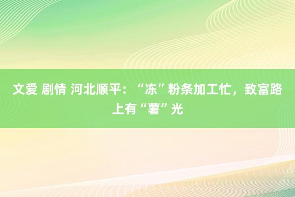 文爱 剧情 河北顺平：“冻”粉条加工忙，致富路上有“薯”光