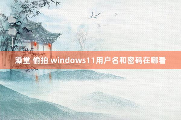 澡堂 偷拍 windows11用户名和密码在哪看