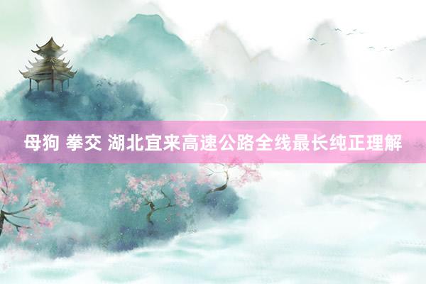 母狗 拳交 湖北宜来高速公路全线最长纯正理解