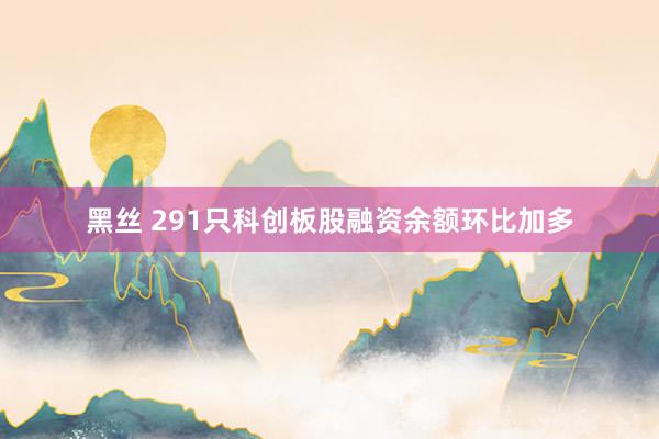 黑丝 291只科创板股融资余额环比加多