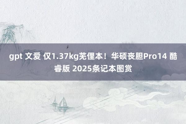gpt 文爱 仅1.37kg芜俚本！华硕丧胆Pro14 酷睿版 2025条记本图赏