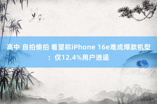 高中 自拍偷拍 看望称iPhone 16e难成爆款机型：仅12.4%用户逍遥