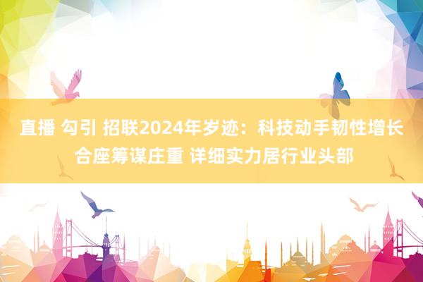直播 勾引 招联2024年岁迹：科技动手韧性增长 合座筹谋庄重 详细实力居行业头部