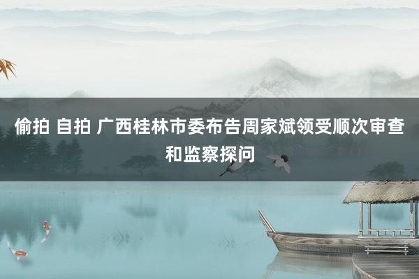 偷拍 自拍 广西桂林市委布告周家斌领受顺次审查和监察探问