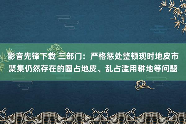 影音先锋下载 三部门：严格惩处整顿现时地皮市聚集仍然存在的圈占地皮、乱占滥用耕地等问题