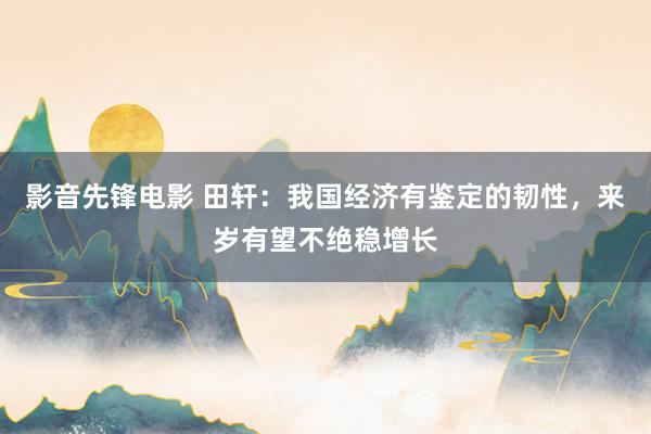影音先锋电影 田轩：我国经济有鉴定的韧性，来岁有望不绝稳增长