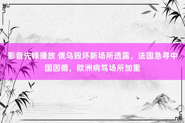 影音先锋播放 俄乌毁坏新场所透露，法国急寻中国因循，欧洲病笃场所加重