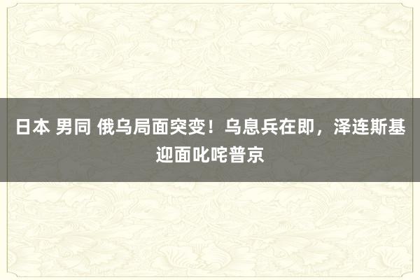 日本 男同 俄乌局面突变！乌息兵在即，泽连斯基迎面叱咤普京
