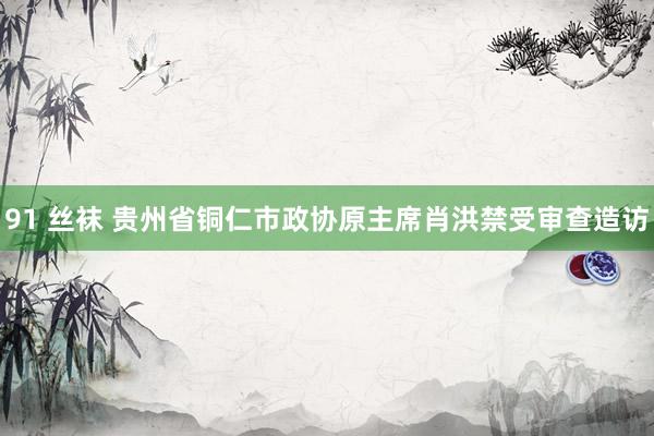 91 丝袜 贵州省铜仁市政协原主席肖洪禁受审查造访