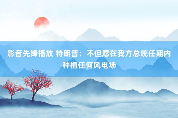 影音先锋播放 特朗普：不但愿在我方总统任期内种植任何风电场