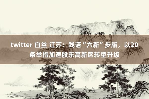twitter 白丝 江苏：践诺“六新”步履，以20条举措加速股东高新区转型升级