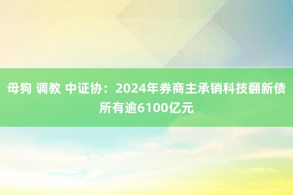 母狗 调教 中证协：2024年券商主承销科技翻新债所有逾6100亿元