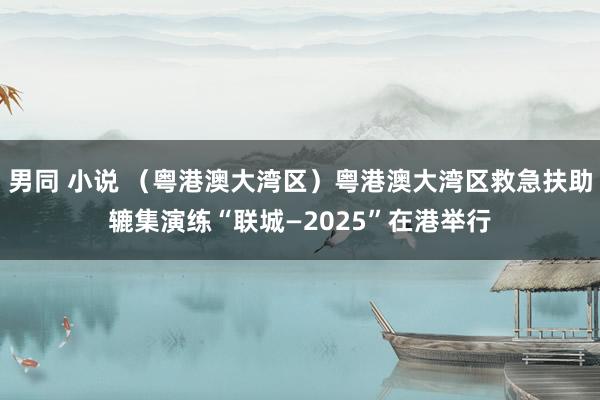 男同 小说 （粤港澳大湾区）粤港澳大湾区救急扶助辘集演练“联城—2025”在港举行