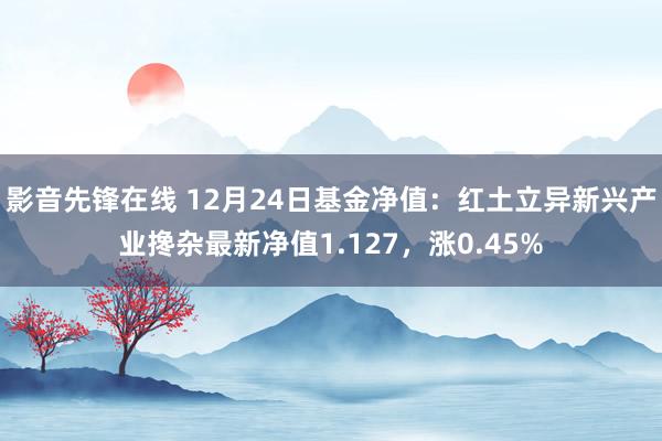 影音先锋在线 12月24日基金净值：红土立异新兴产业搀杂最新净值1.127，涨0.45%