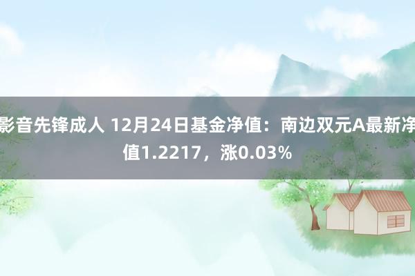 影音先锋成人 12月24日基金净值：南边双元A最新净值1.2217，涨0.03%