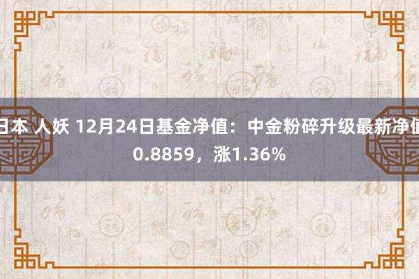 日本 人妖 12月24日基金净值：中金粉碎升级最新净值0.8859，涨1.36%