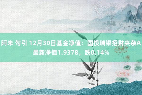 阿朱 勾引 12月30日基金净值：国投瑞银招财夹杂A最新净值1.9378，跌0.14%