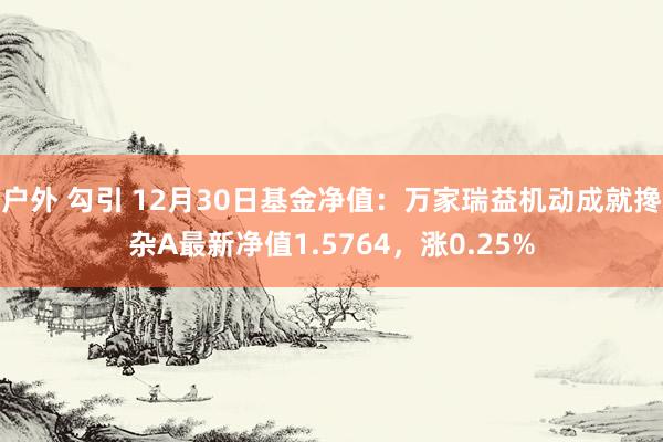户外 勾引 12月30日基金净值：万家瑞益机动成就搀杂A最新净值1.5764，涨0.25%