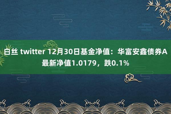 白丝 twitter 12月30日基金净值：华富安鑫债券A最新净值1.0179，跌0.1%