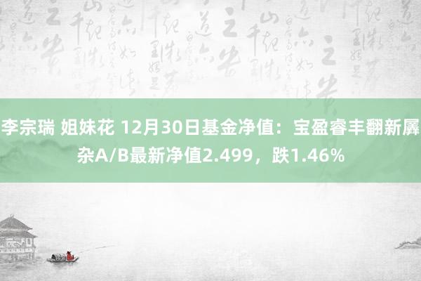 李宗瑞 姐妹花 12月30日基金净值：宝盈睿丰翻新羼杂A/B最新净值2.499，跌1.46%