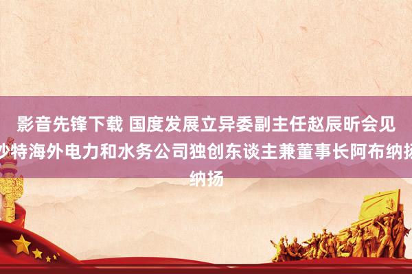 影音先锋下载 国度发展立异委副主任赵辰昕会见沙特海外电力和水务公司独创东谈主兼董事长阿布纳扬