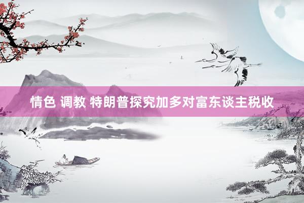 情色 调教 特朗普探究加多对富东谈主税收