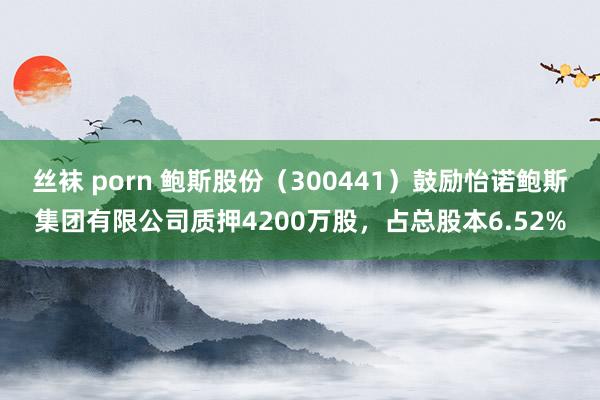 丝袜 porn 鲍斯股份（300441）鼓励怡诺鲍斯集团有限公司质押4200万股，占总股本6.52%