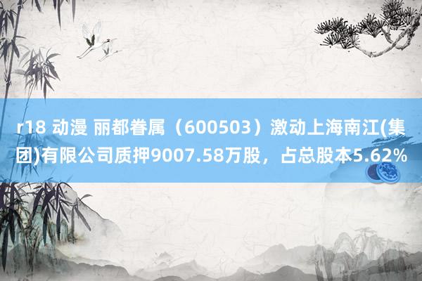 r18 动漫 丽都眷属（600503）激动上海南江(集团)有限公司质押9007.58万股，占总股本5.62%