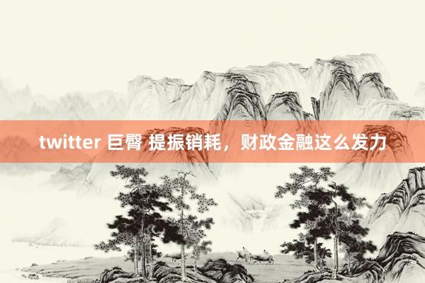 twitter 巨臀 提振销耗，财政金融这么发力