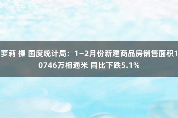 萝莉 操 国度统计局：1—2月份新建商品房销售面积10746万相通米 同比下跌5.1%