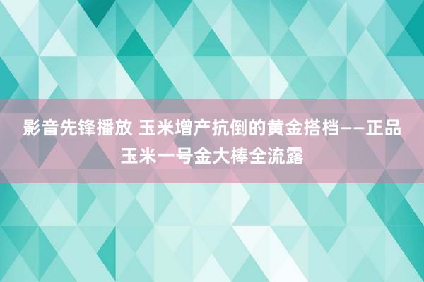 影音先锋播放 玉米增产抗倒的黄金搭档——正品玉米一号金大棒全流露