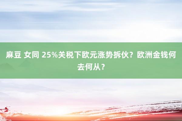 麻豆 女同 25%关税下欧元涨势拆伙？欧洲金钱何去何从？