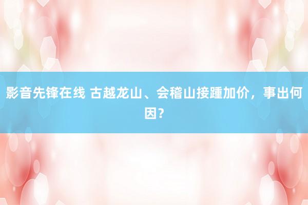 影音先锋在线 古越龙山、会稽山接踵加价，事出何因？