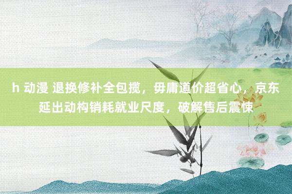 h 动漫 退换修补全包揽，毋庸道价超省心，京东延出动构销耗就业尺度，破解售后震悚