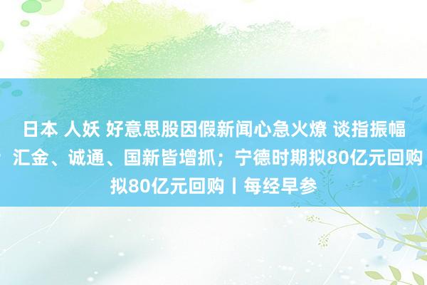 日本 人妖 好意思股因假新闻心急火燎 谈指振幅达2600点；汇金、诚通、国新皆增抓；宁德时期拟80亿元回购丨每经早参