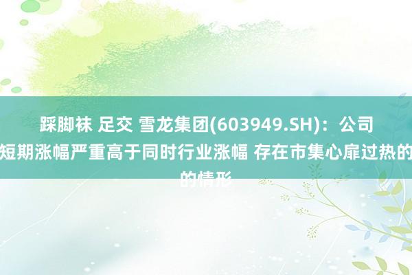 踩脚袜 足交 雪龙集团(603949.SH)：公司股票短期涨幅严重高于同时行业涨幅 存在市集心扉过热的情形