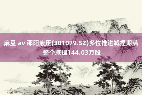 麻豆 av 邵阳液压(301079.SZ)多位推进减捏期满 整个减捏144.03万股