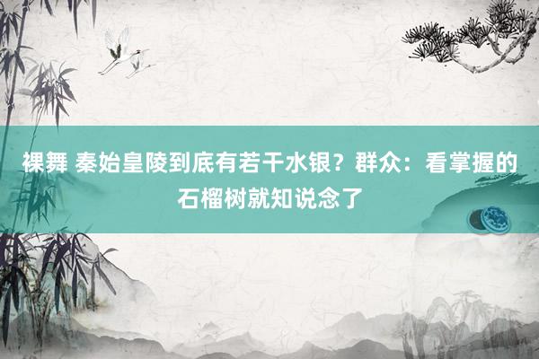裸舞 秦始皇陵到底有若干水银？群众：看掌握的石榴树就知说念了