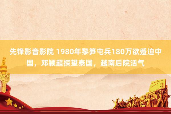 先锋影音影院 1980年黎笋屯兵180万欲蹙迫中国，邓颖超探望泰国，越南后院活气