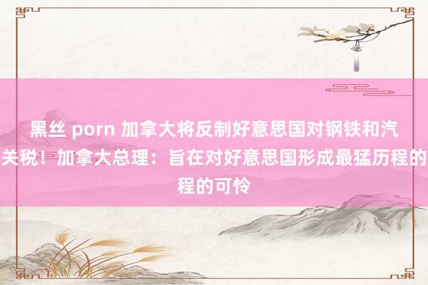 黑丝 porn 加拿大将反制好意思国对钢铁和汽车的关税！加拿大总理：旨在对好意思国形成最猛历程的可怜