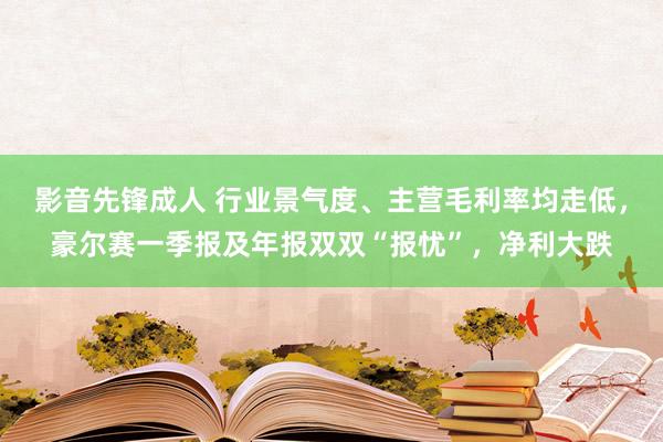 影音先锋成人 行业景气度、主营毛利率均走低，豪尔赛一季报及年报双双“报忧”，净利大跌
