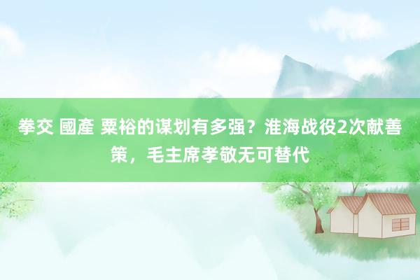 拳交 國產 粟裕的谋划有多强？淮海战役2次献善策，毛主席孝敬无可替代