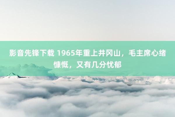 影音先锋下载 1965年重上井冈山，毛主席心绪慷慨，又有几分忧郁