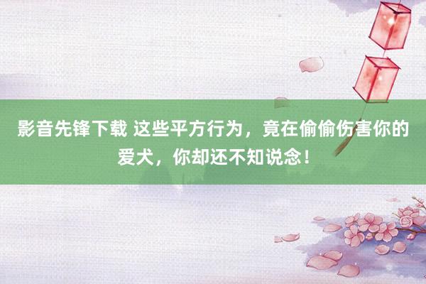 影音先锋下载 这些平方行为，竟在偷偷伤害你的爱犬，你却还不知说念！