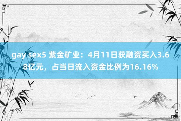 gay sex5 紫金矿业：4月11日获融资买入3.68亿元，占当日流入资金比例为16.16%