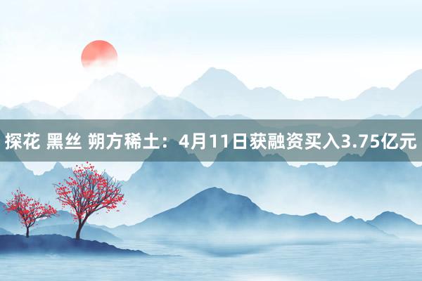探花 黑丝 朔方稀土：4月11日获融资买入3.75亿元